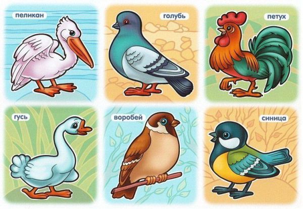Стихи про птиц для детей