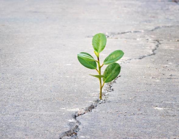 Poems about Life Struggles