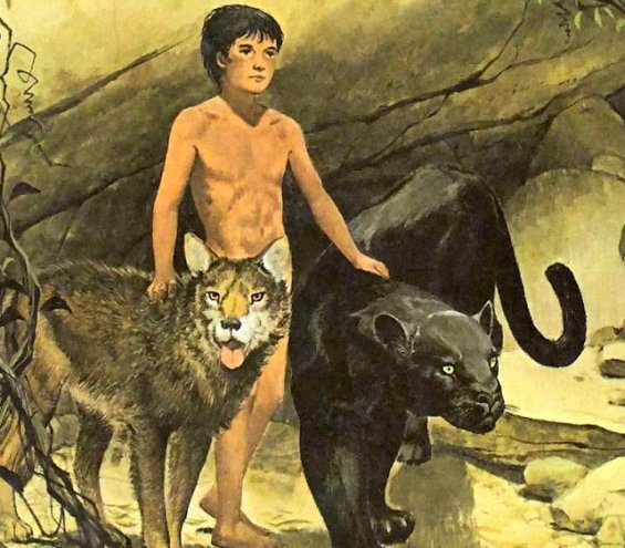 Kipling's tales for children  The Jungle Book
