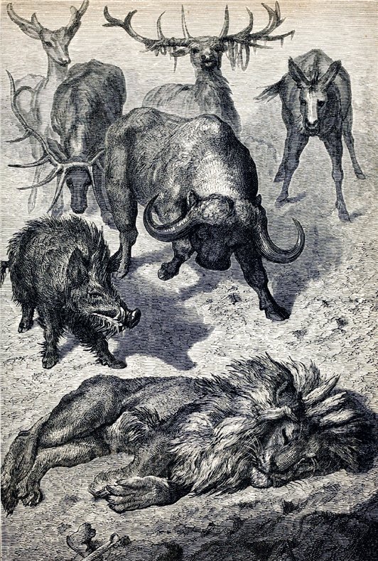 aesop s fables Griset Ernest 10