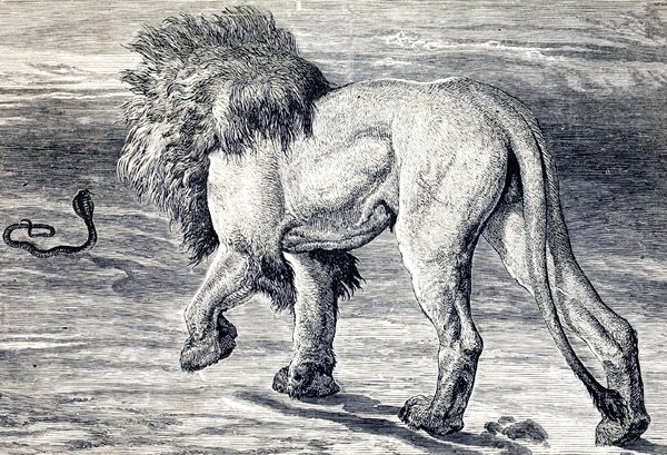 aesop s fables Griset Ernest 11