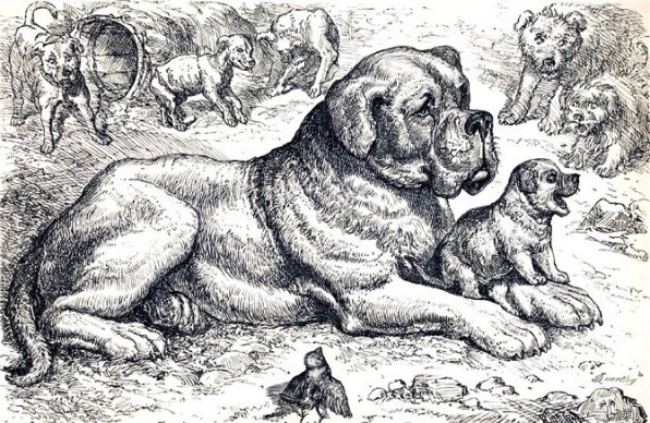 aesop s fables Griset Ernest 2