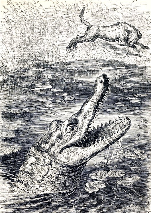 aesop s fables Griset Ernest 7