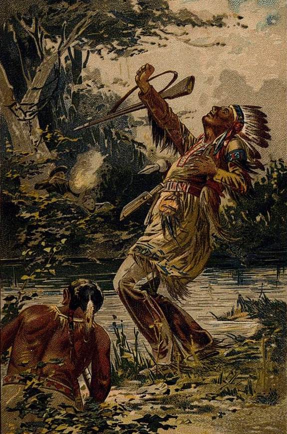 Черный бизон Рассказ из жизни индейцев — Андреевская Варвара