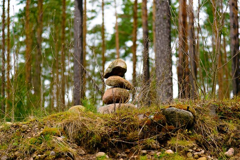 Логические задачи для детей 10-12 лет