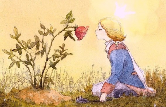 Сказка Маленький принц Роза